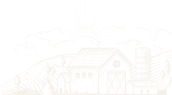 CMV || Soluções Agrícolas