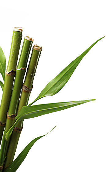 CMV || Soluções Agrícolas