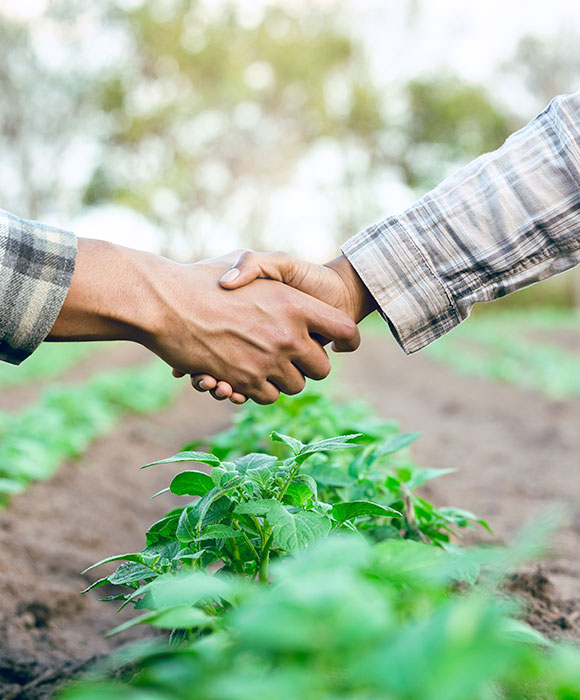 CMV || Soluções Agrícolas