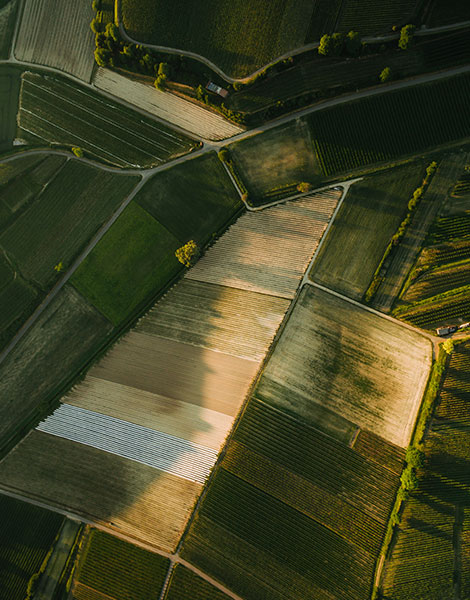 Bem-vindo à CMV Soluções Agrícolas
